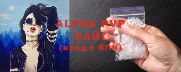 гидра Володарск