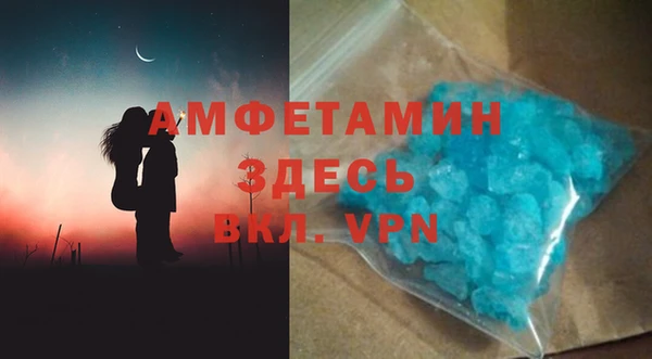 гидра Володарск